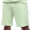 Active Ease: Fair Green